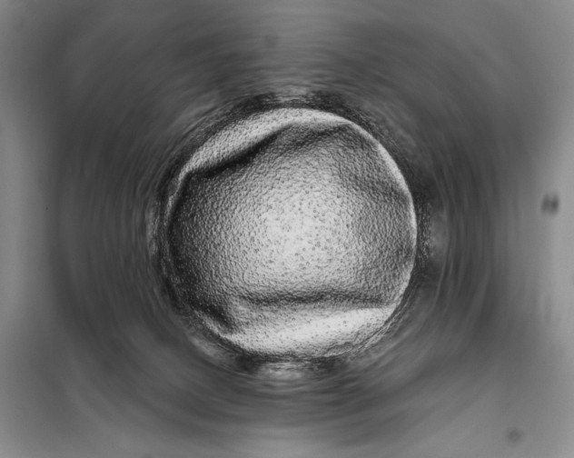 X0000098010082200804181147