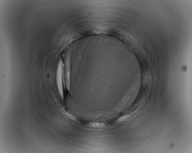 X0000098010084200804181147