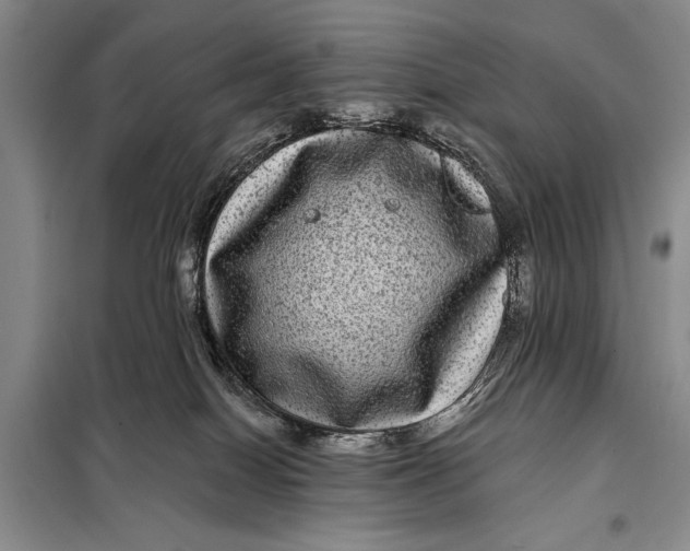 X0000098010086200804181147