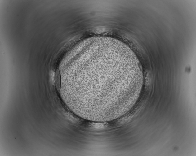 X0000098010089200804181147