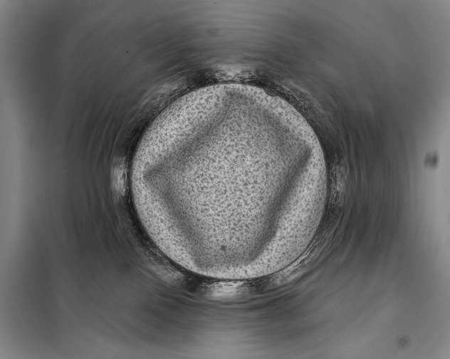 X0000098010090200804181147