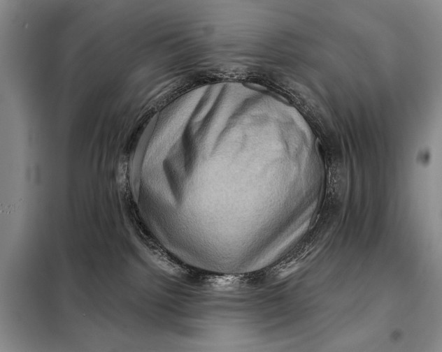 X0000098010092200804181147