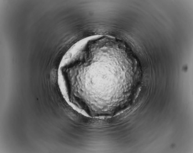 X0000098010093200804181147