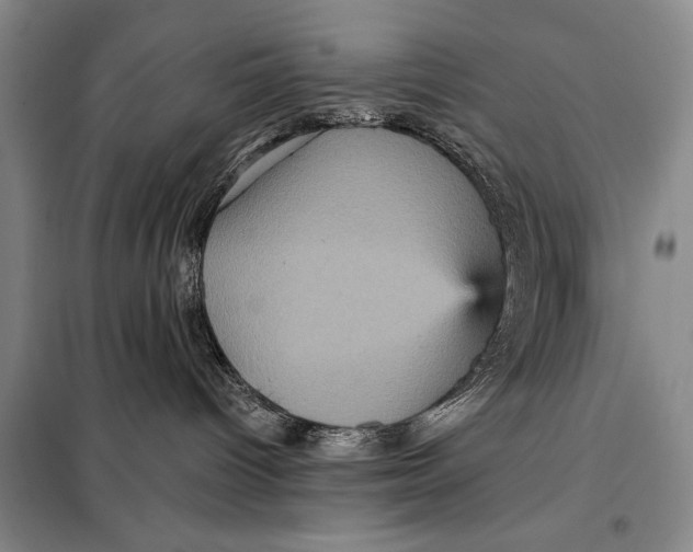 X0000098010096200804181147