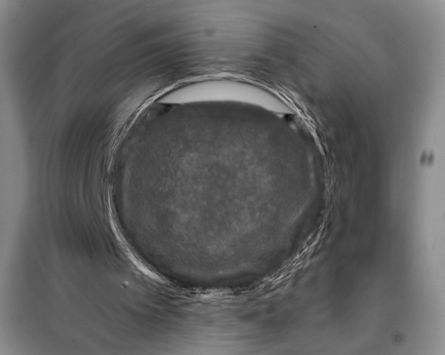 X0000098010097200804181146