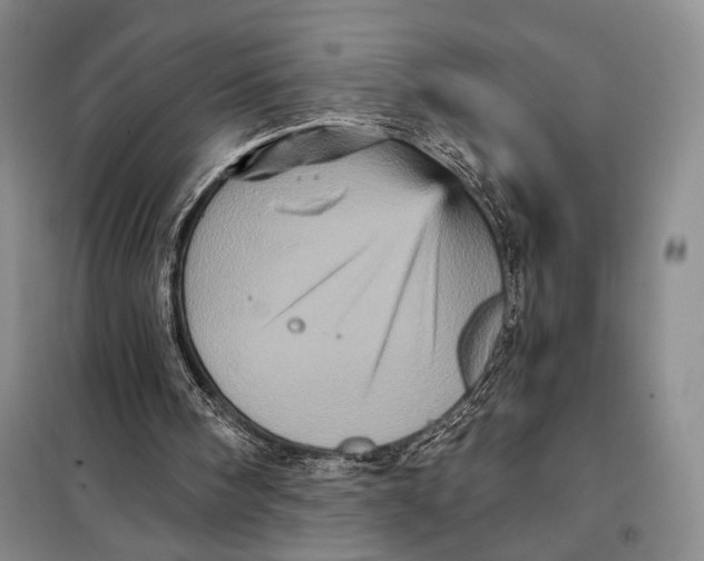 X0000098010098200804181146