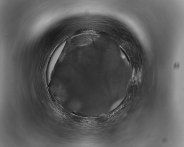 X0000098010099200804181146