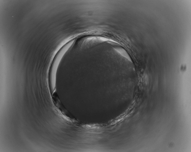 X0000098010100200804181146