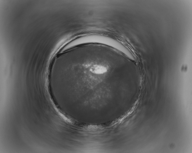 X0000098010101200804181146