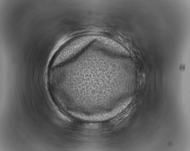 X0000098010102200804181146