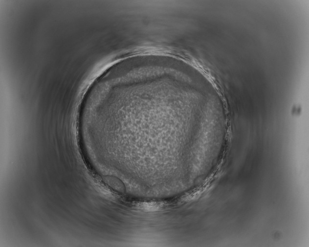 X0000098010103200804181146