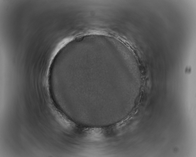 X0000098010104200804181146