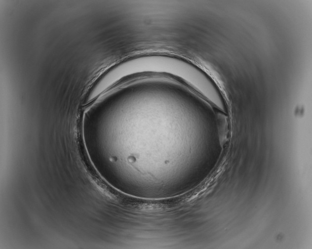 X0000098010105200804181146