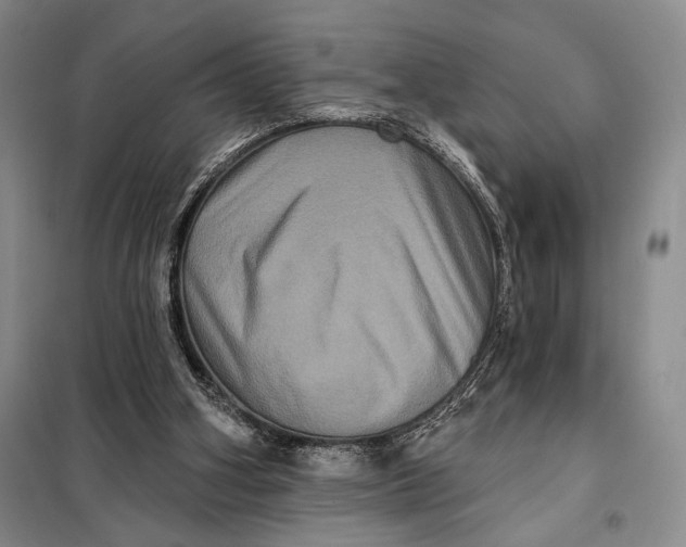 X0000098010106200804181146