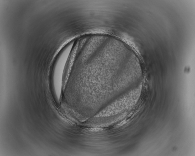 X0000098010108200804181146