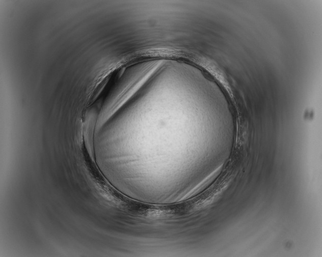 X0000098010109200804181146