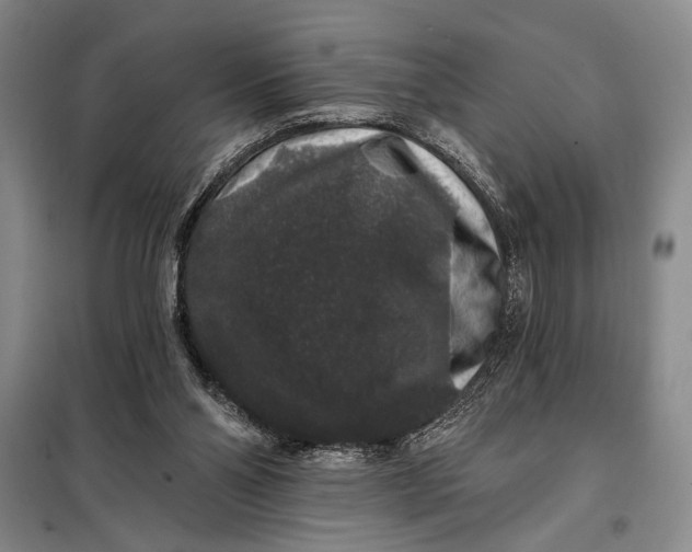 X0000098010110200804181146