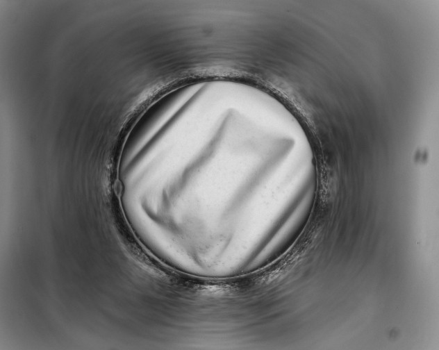 X0000098010111200804181146