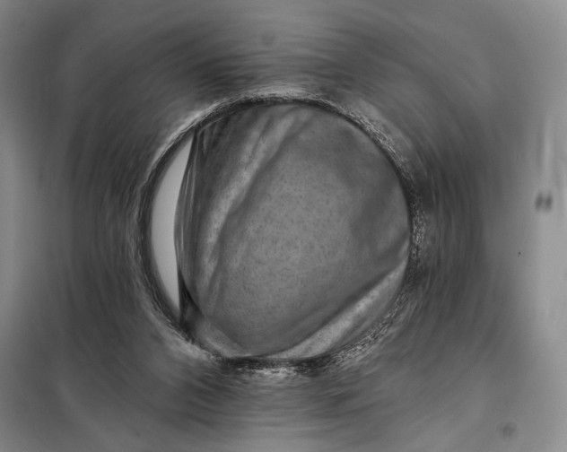 X0000098010112200804181146