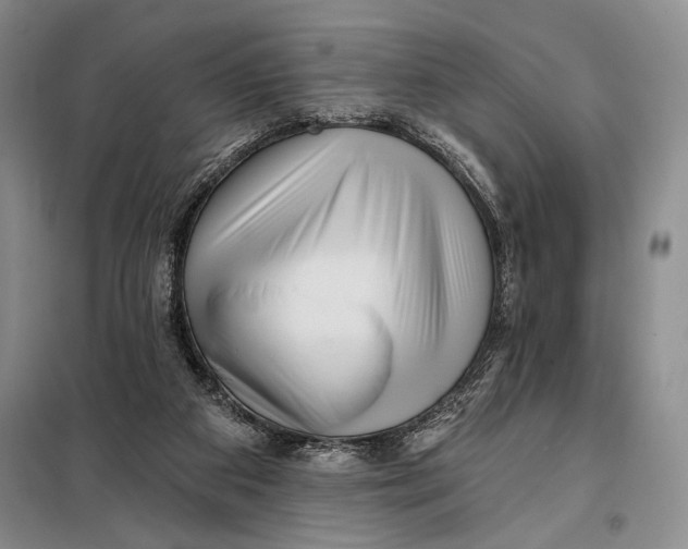 X0000098010113200804181146