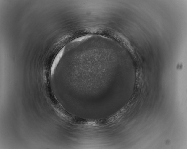 X0000098010114200804181146