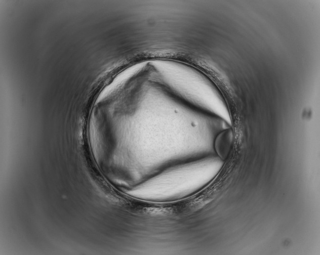 X0000098010115200804181146