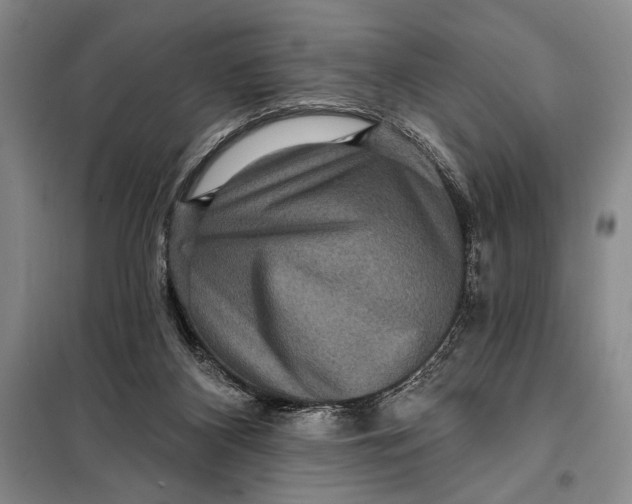 X0000098010116200804181146