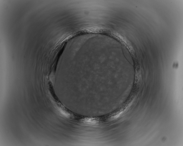 X0000098010117200804181146