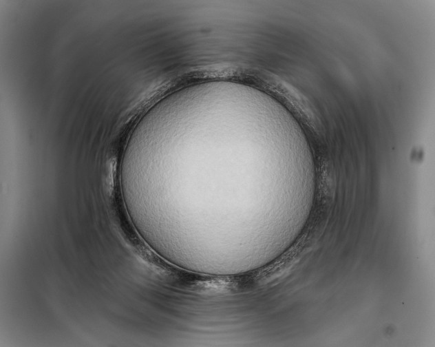 X0000098010118200804181146