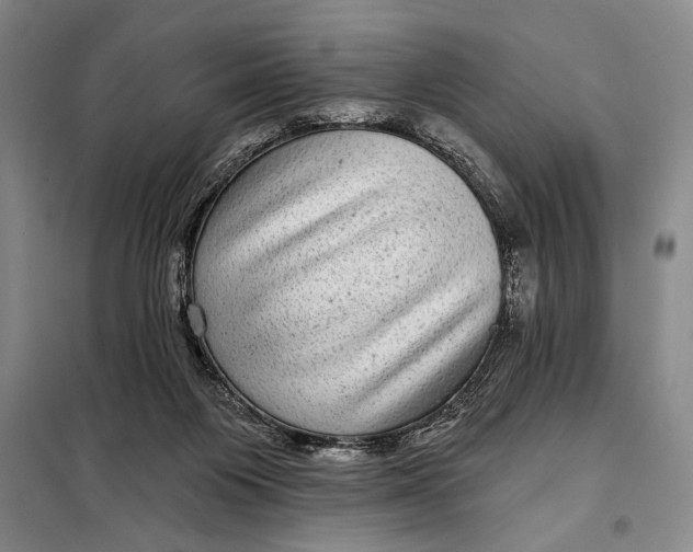 X0000098010119200804181146