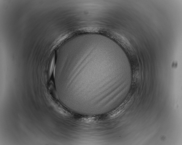 X0000098010120200804181146