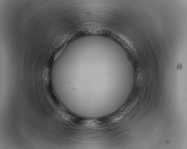 X0000098010121200804181146