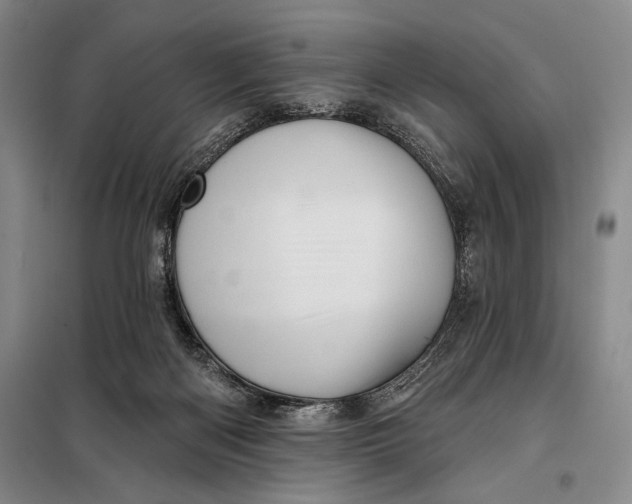 X0000098010122200804181146