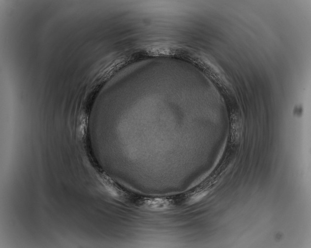 X0000098010125200804181146