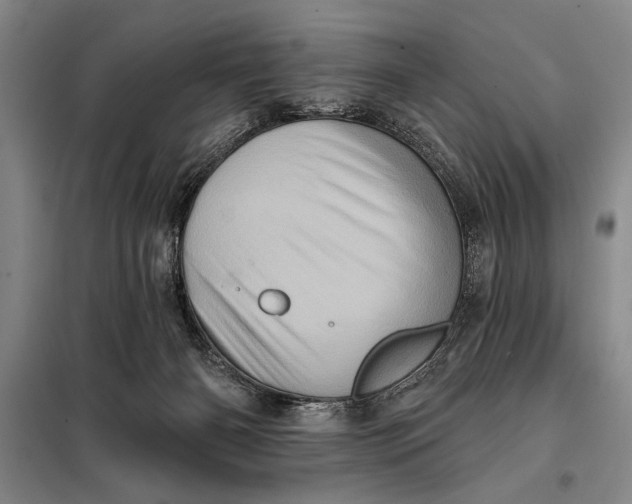 X0000098010126200804181146