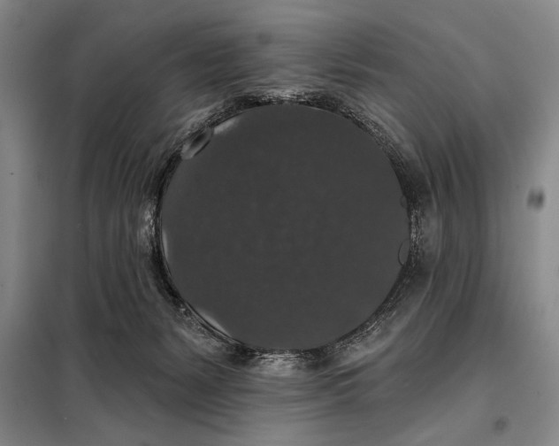 X0000098010127200804181146