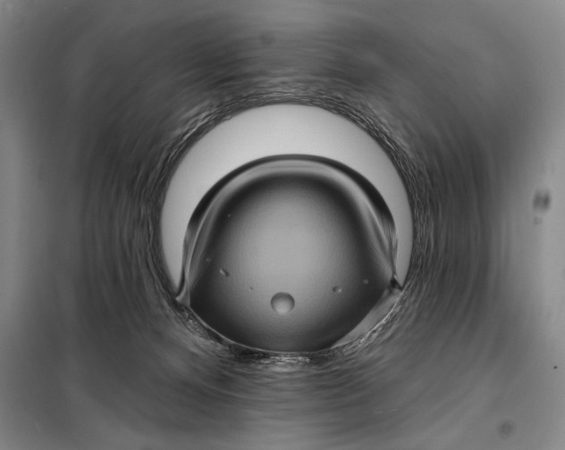 X0000098010128200804181146