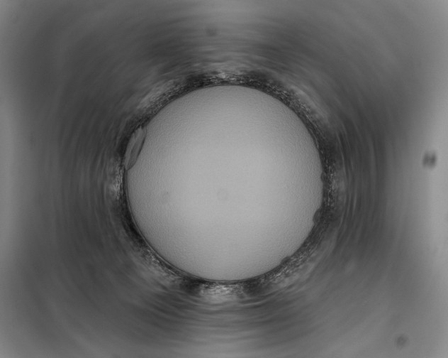 X0000098010129200804181146