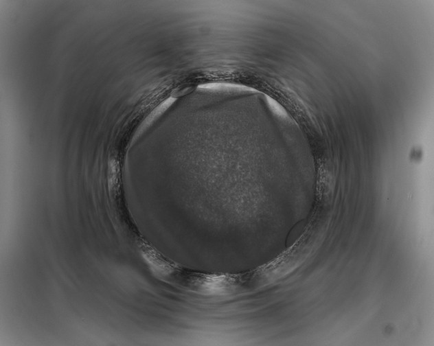 X0000098010130200804181146