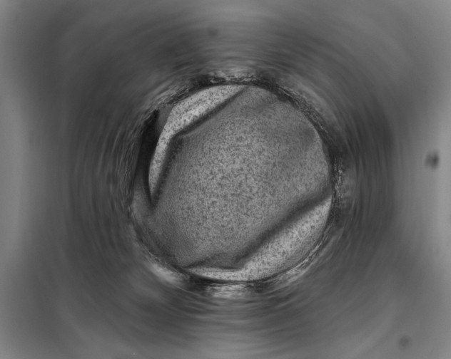 X0000098010132200804181146