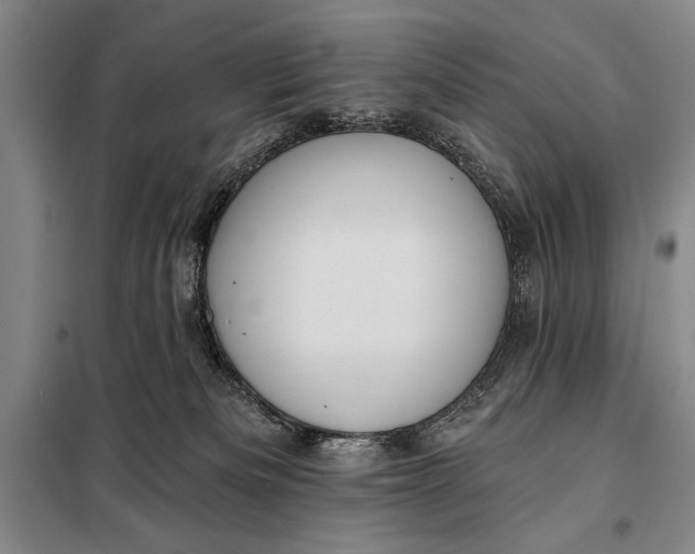 X0000098010133200804181146