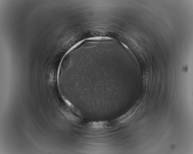 X0000098010134200804181146