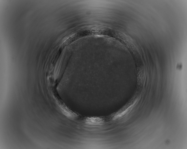 X0000098010137200804181146