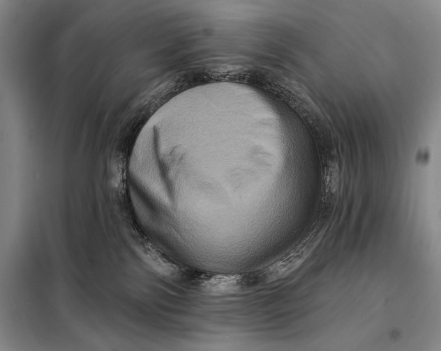 X0000098010138200804181146