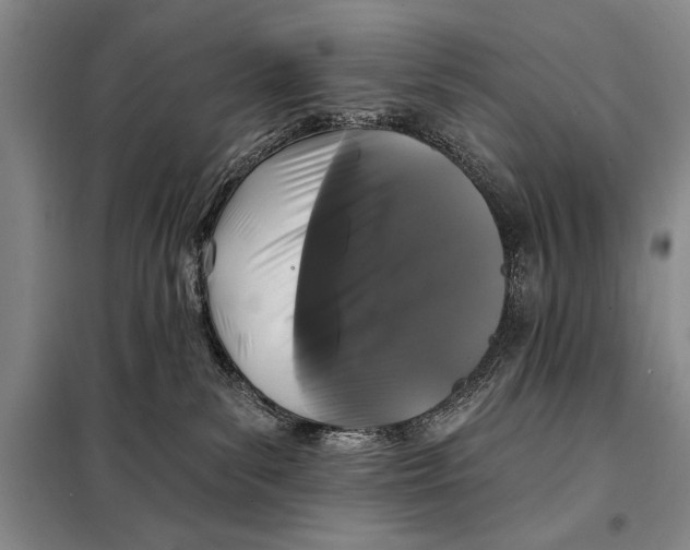 X0000098010139200804181146