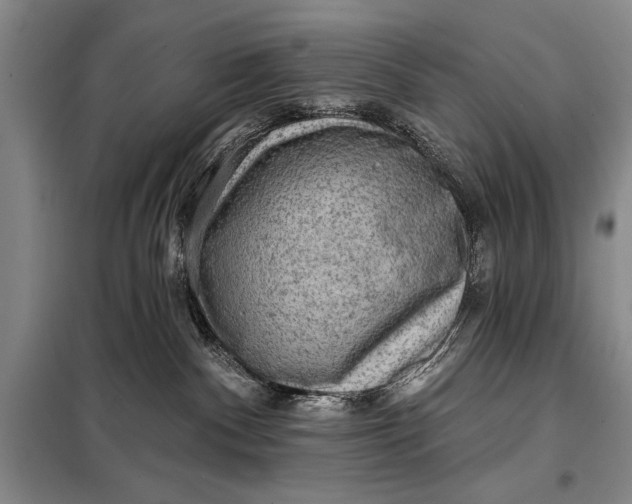 X0000098010140200804181146