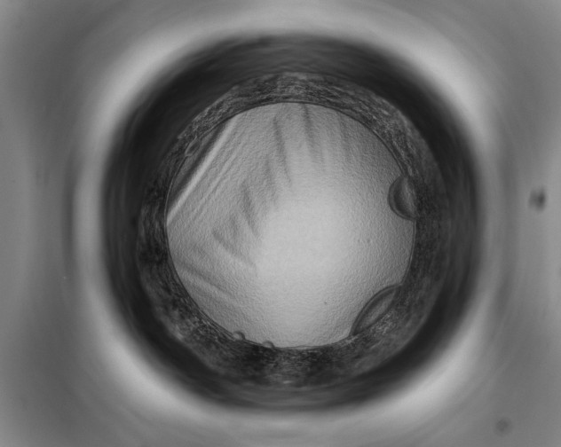 X0000098010142200804181146