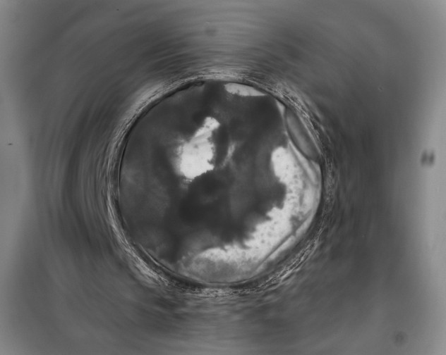 X0000098010145200804181145