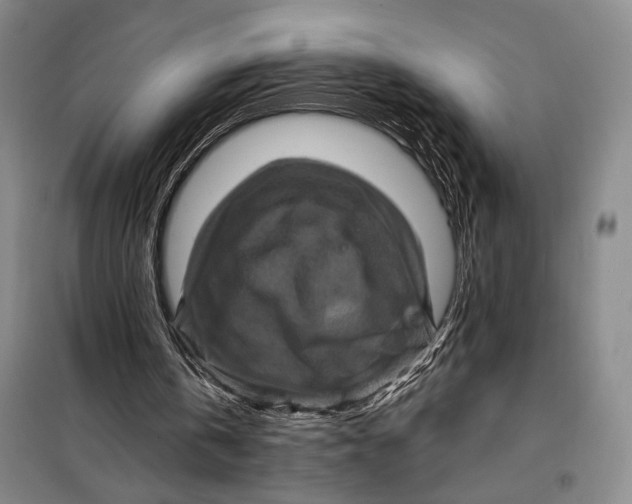 X0000098010146200804181145