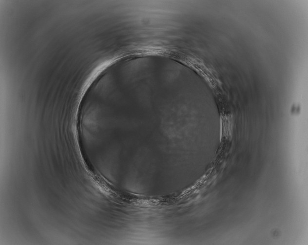 X0000098010147200804181145